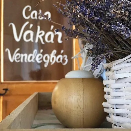 Casa Vakar Vendeghaz Apartment Praid
