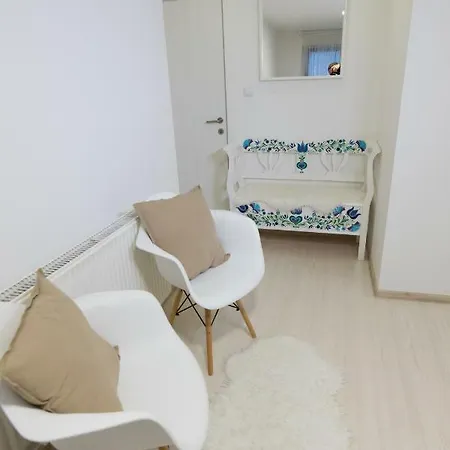 Casa Vakar Vendeghaz Praid